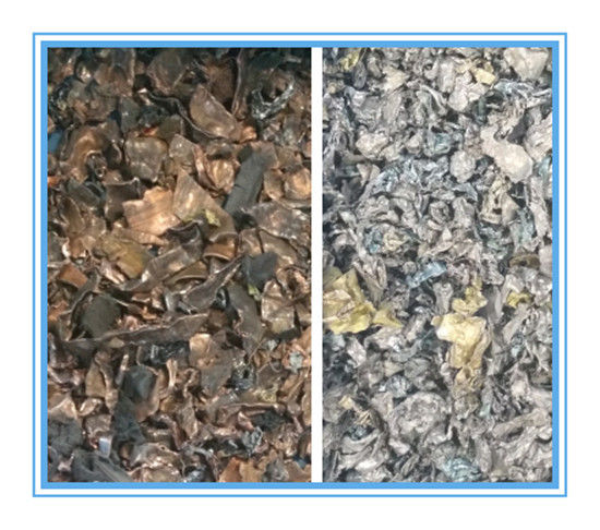 Classificador de Cor de Trigo de Alta Velocidade WENYAO Agricultural com Sistema de Controle AI