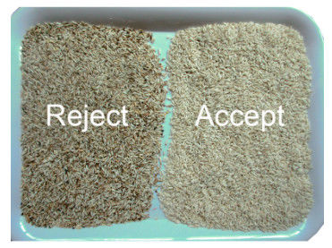 Classificador automático da cor do arroz do Ccd para remover as porcas amarelas pretas dos feijões da lentilha da aveia do arroz