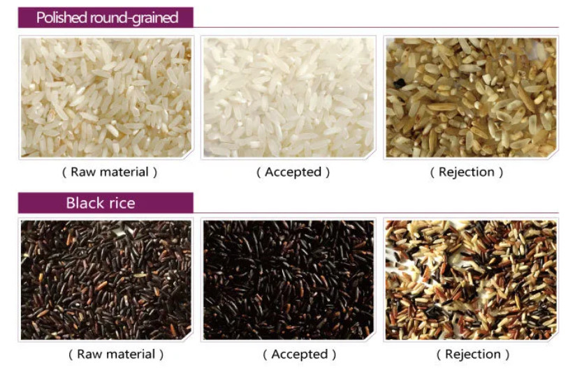 Máquina de Selctor do classificador da cor da grão do arroz das rampas da Multi-função 6 que classifica para cereais do arroz