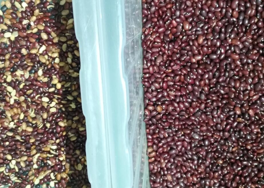 Soja Bean Color Sorter High Output para o arroz das porcas do arroz da grão