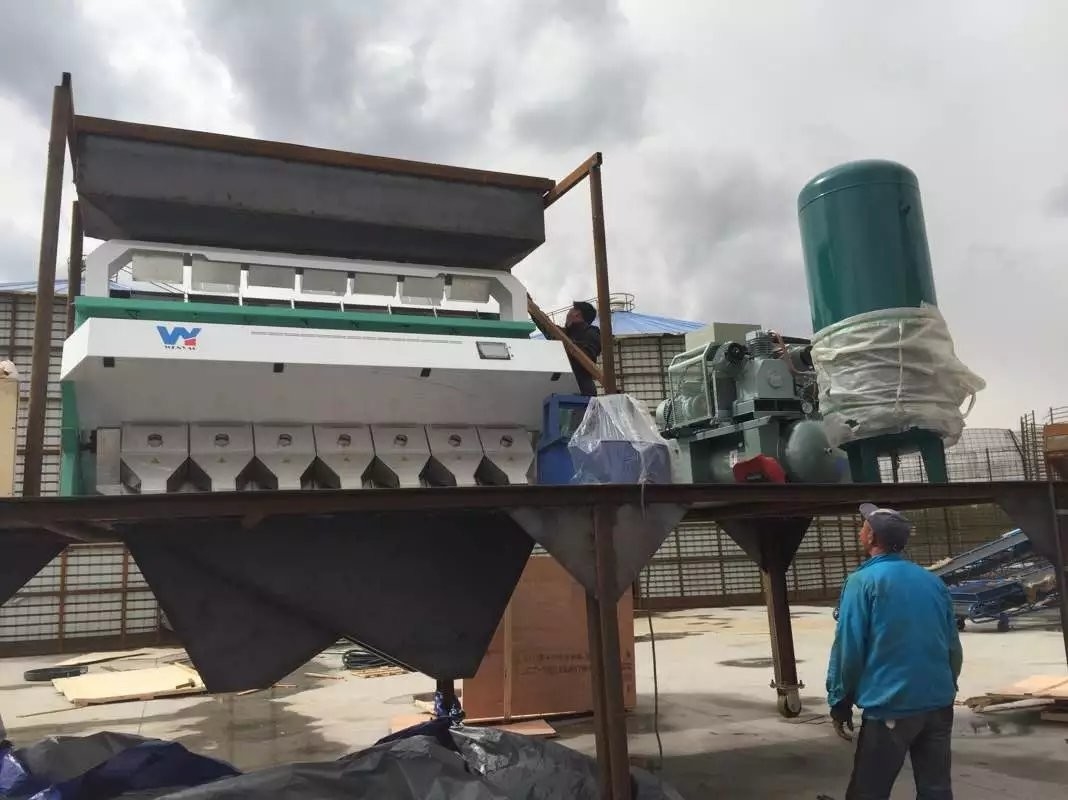 Classificador ótico da cor do CCD dos flocos plásticos do LDPE do HDPE do ABS do ANIMAL DE ESTIMAÇÃO do PE do PVC dos PP inteligente