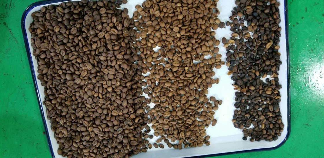 Rampas óticas de Bean Mung Bean Sorting Machine 1 do rim do CCD do RGB