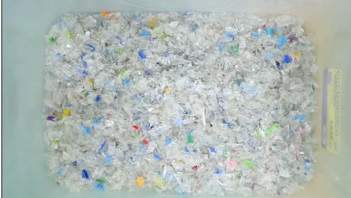 Elevada precisão da máquina de classificação da cor do PVC do HDPE do ANIMAL DE ESTIMAÇÃO