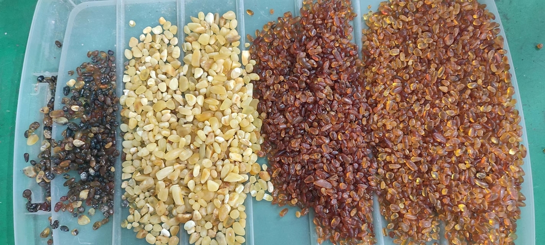 Multi funcional do classificador ótico branco vermelho da cor do Quinoa com a câmera do CCD de Toshiba