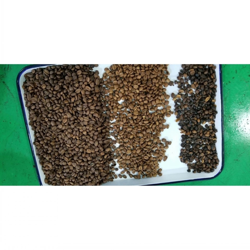 O classificador da cor de Wenyao Rice Grain Coffee Bean faz à máquina a computação automática