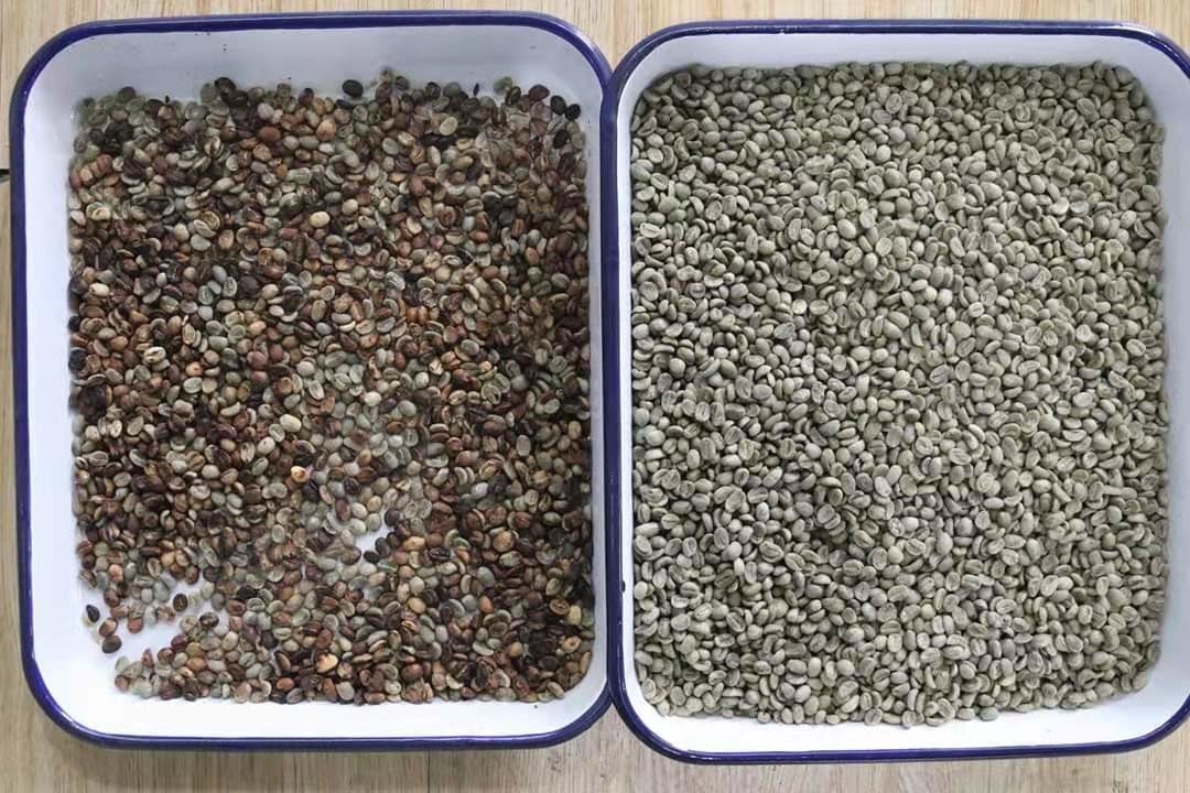 Rampas óticas de Bean Mung Bean Sorting Machine 1 do rim do CCD do RGB