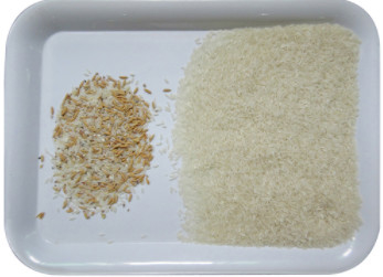 Máquina do classificador da cor de WENYAO Peeled Peanuts Nuts Rice com diodo emissor de luz do CCD automaticamente