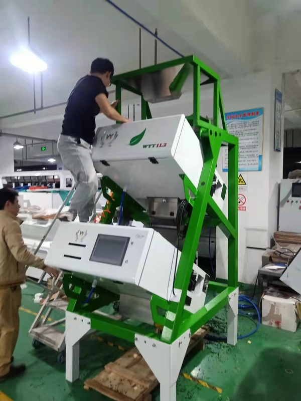 Precisão vermelha verde preta de Mini Tea Colour Sorter Machine 99,99%