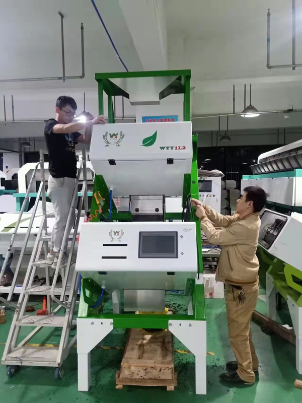 Manutenção fácil da máquina ótica de alta velocidade do classificador da cor do chá para as folhas de chá vermelhas