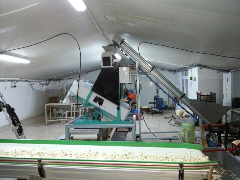 CE ótico do CE ISO9001 do CCD de Paddy Grain Color Sorter 8 do trigo esperto das rampas