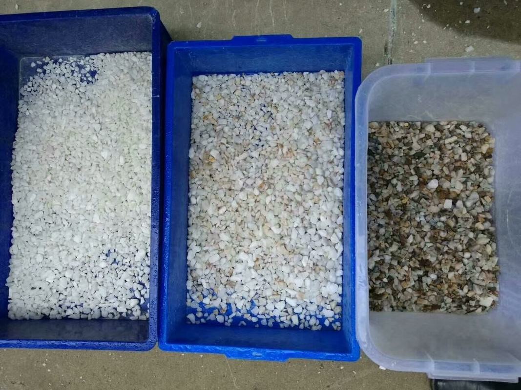 limpeza inteligente habilitado da poeira do CE de 3t/H Sacha Inchi Sorting Machine
