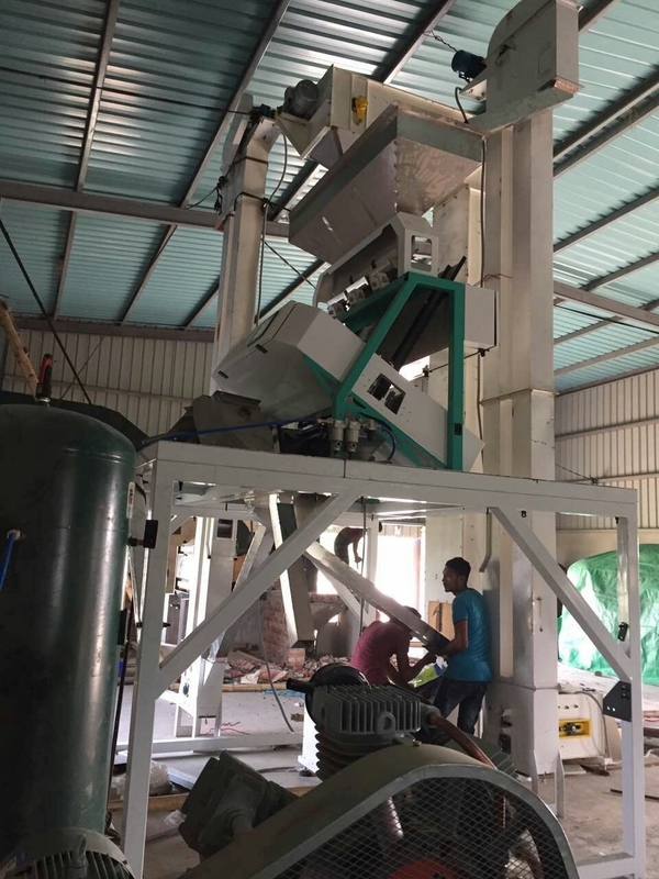 Separador do classificador da cor do cominhos da máquina de classificação da cor do cravo-da-índia do classificador da cor da especiaria da precisão alta com 2 anos de garantia