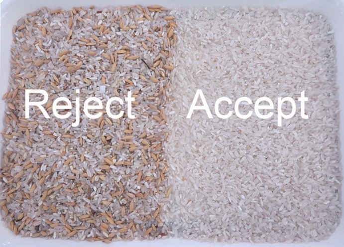 Máquina de triagem óptica de arroz Máquina de triagem de cores de arroz para moinho de arroz
