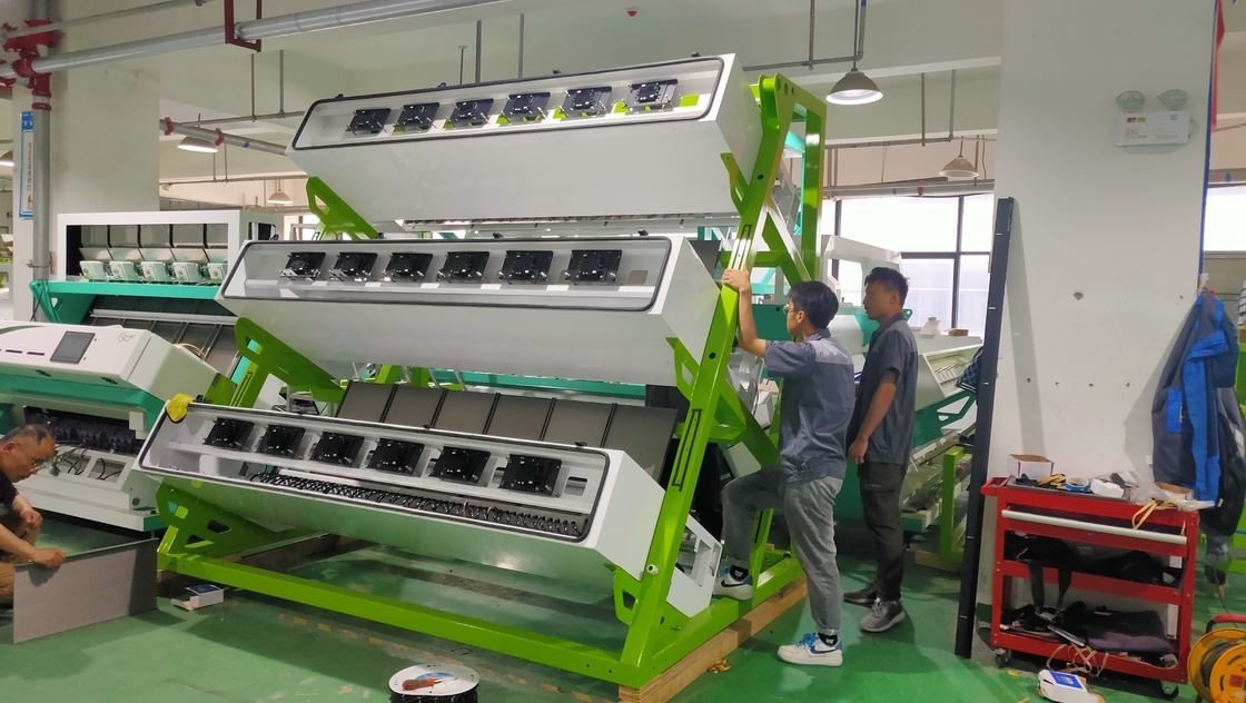 Wenyao CCD máquina de classificação de chá para chá preto máquina de classificação de cor de chá verde remover impurezas de ramos de folhas de chá