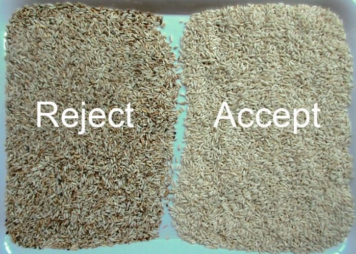 A grão longa aferventou a máquina de classificação da cor da precisão alta da máquina do classificador da cor do arroz