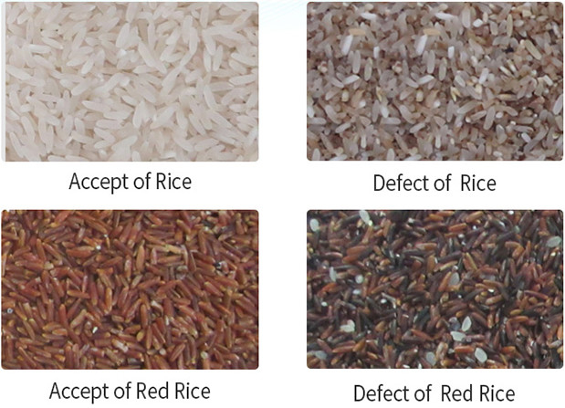 A grão longa aferventou a máquina de classificação da cor da precisão alta da máquina do classificador da cor do arroz