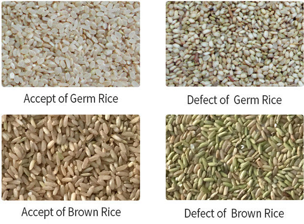 A grão longa aferventou a máquina de classificação da cor da precisão alta da máquina do classificador da cor do arroz