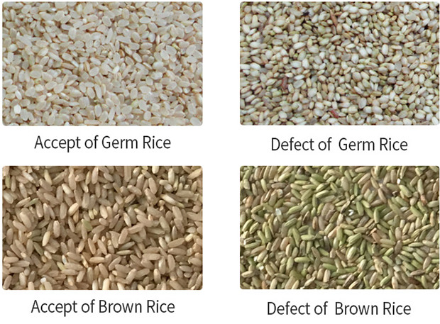 A grão longa aferventou a máquina de classificação da cor da precisão alta da máquina do classificador da cor do arroz