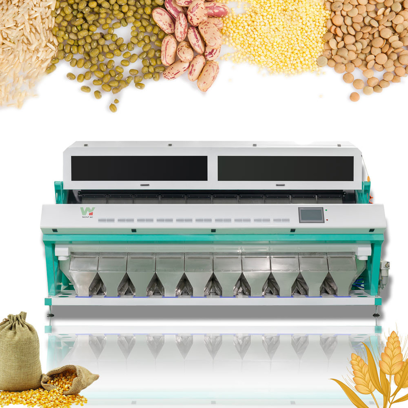 Câmera do CCD 10 do arroz da cor do classificador da máquina do arroz toneladas de máquina de classificação com tecnologia do AI