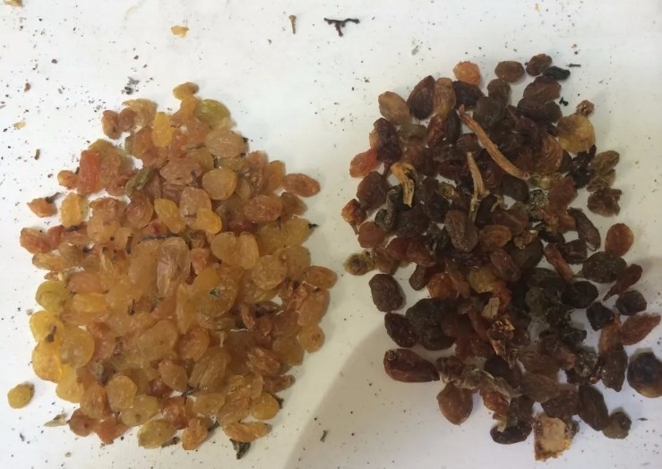 Máquina de classificação do arroz do feijão de soja do separador do CCD de Bean Nuts Color Sorter AI do café