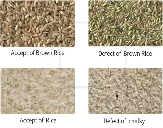 Máquina de triagem de cores de 128 canais para arroz branco vermelho Máquina de triagem inteligente CCD combinada com moinho de arroz