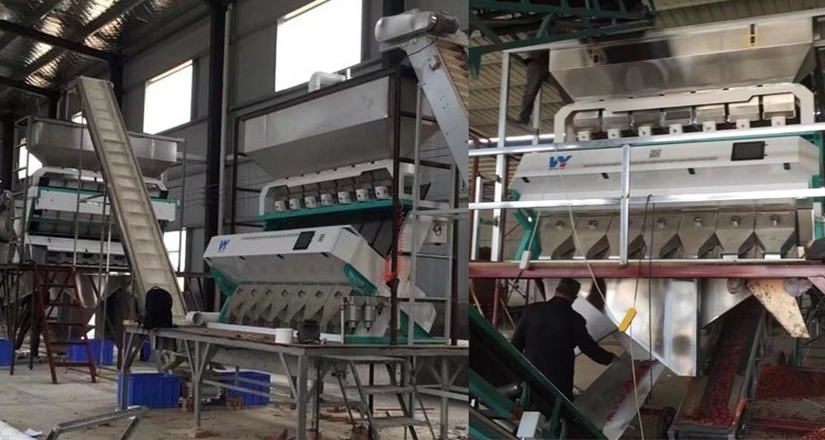 Sensor do CCD de Mini Color Sorting Machine With do classificador da cor da passa da amêndoa das porcas