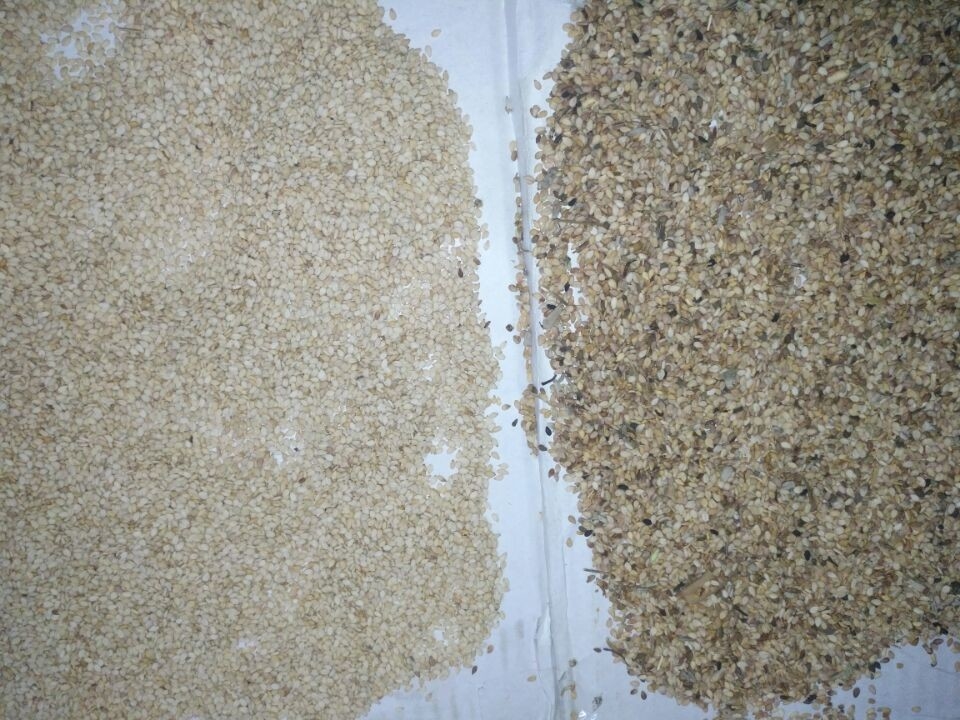 As sementes de abóbora inteligentes do CCD do classificador agrícola da cor da semente do AI colorem a máquina de classificação