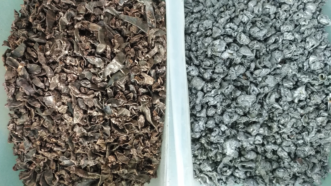 Máquina plástica de vidro mineral do classificador da cor do único minério automático grande da câmera da largura 4 da camada
