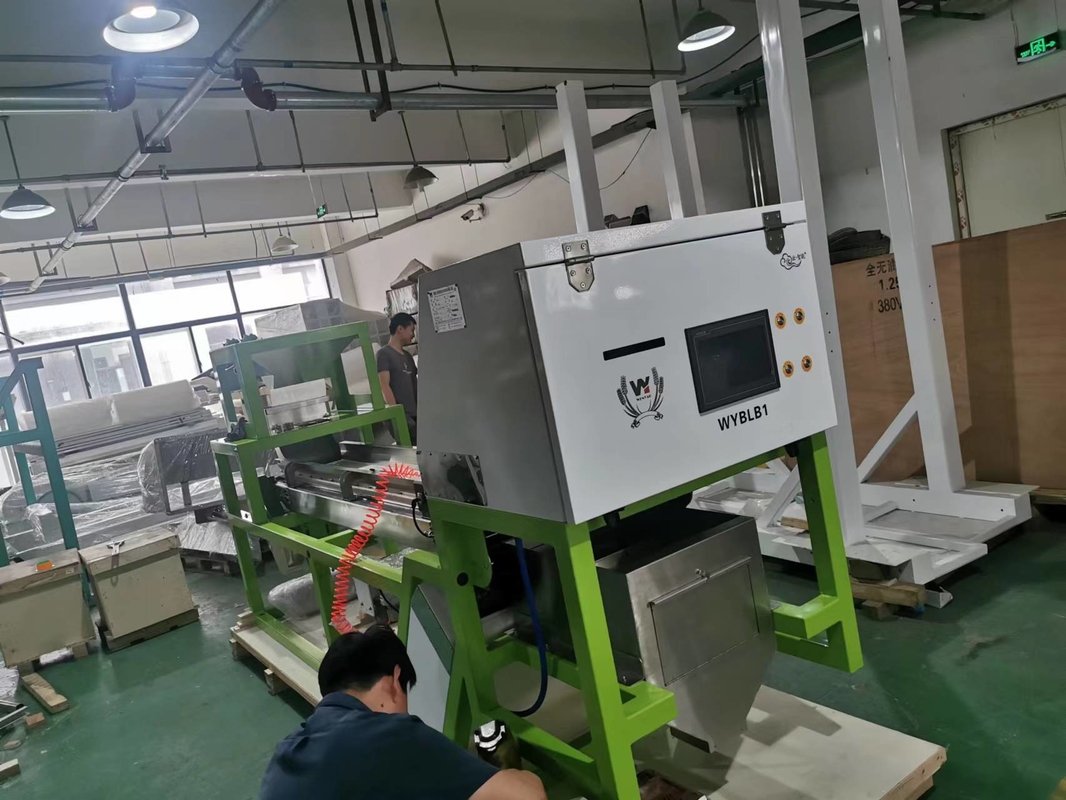 Máquina de classificação de cor de alho Máquina de classificação de cor de café cereja