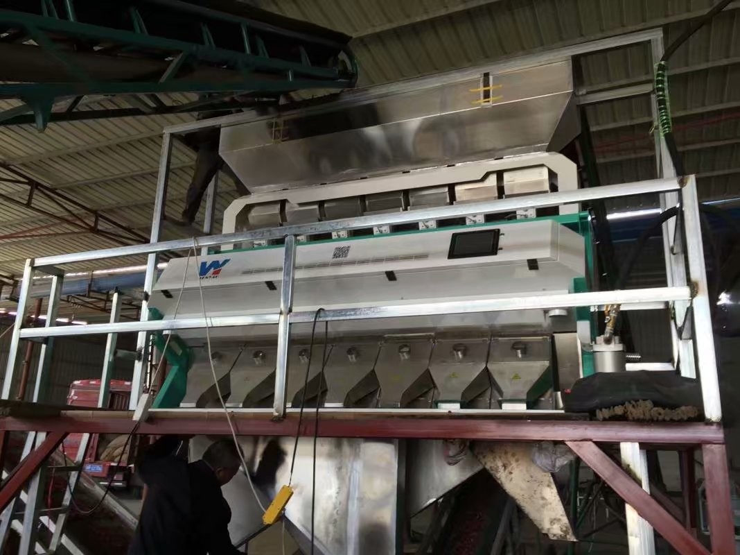 Sortador de cores de arroz de alta capacidade 0,3 - 0,9 t/h 2 anos Precisão de triagem 99,5 - 99,9%