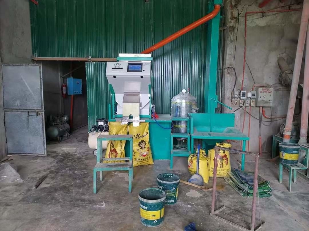 Máquina de classificação de cor de arroz preto-vermelho óptica - 280 kg 2 anos