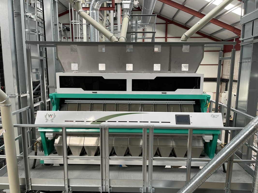 Máquina de classificação de cores de arroz inteligente de alta qualidade com controle de IA da China