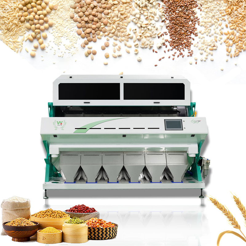 Alta precisão de triagem Máquina de triagem de cores de grãos de café Arroz Equipamento de triagem de nozes de plástico Multifunção