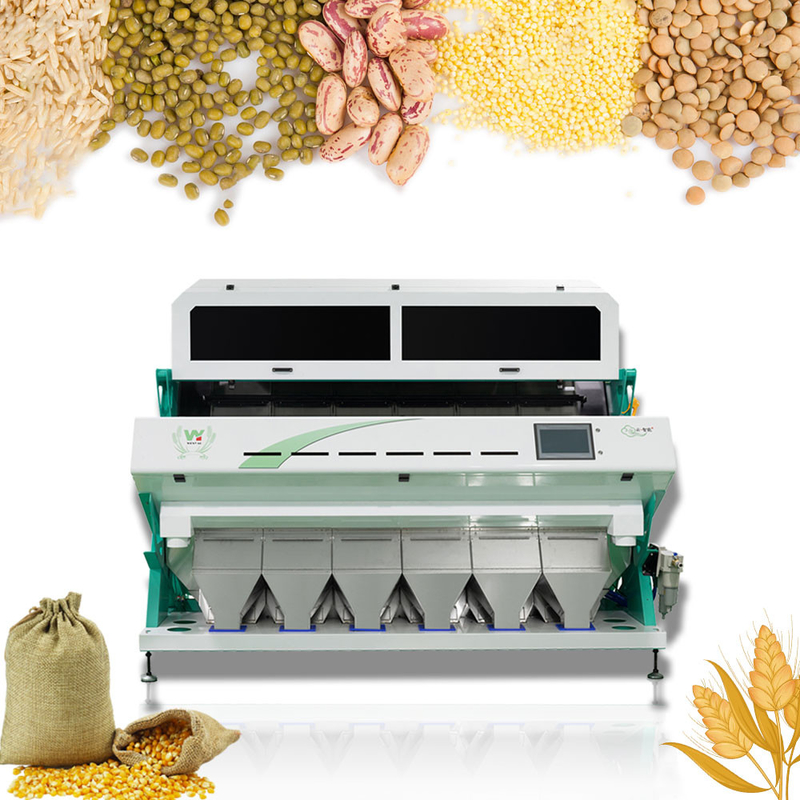 Alta precisão de triagem Máquina de triagem de cores de grãos de café Arroz Equipamento de triagem de nozes de plástico Multifunção