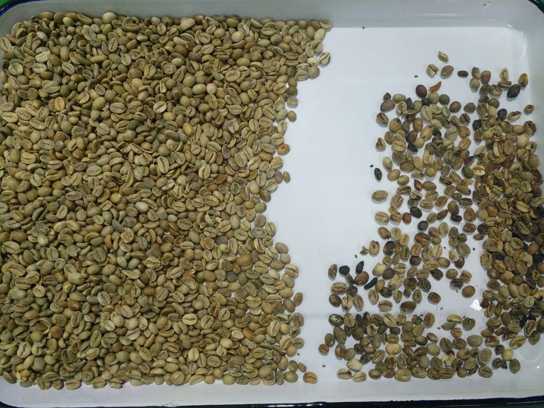 Alta precisão de triagem Máquina de triagem de cores de grãos de café Arroz Equipamento de triagem de nozes de plástico Multifunção
