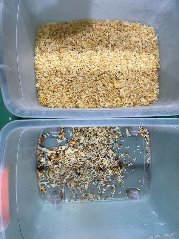 Máquina de classificação de cores de sementes de algodão Gaur Gum Tea Raisin Color Sorting Machine