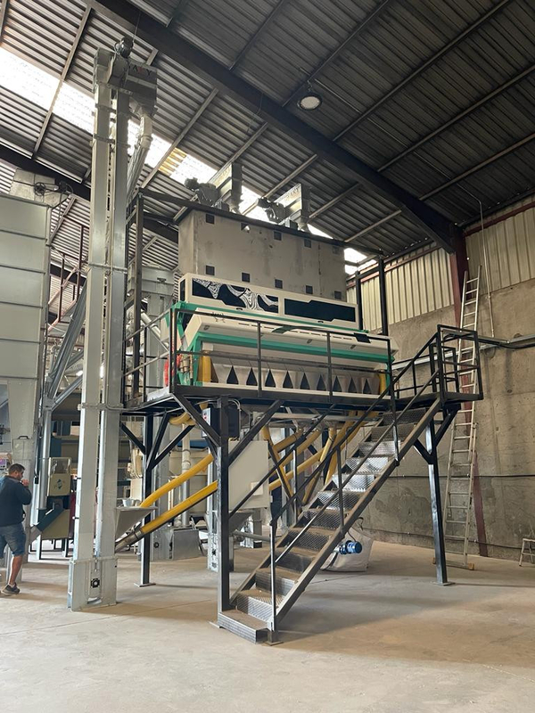 Máquina de triagem de cores ópticas de sementes de tamarindo de abóbora