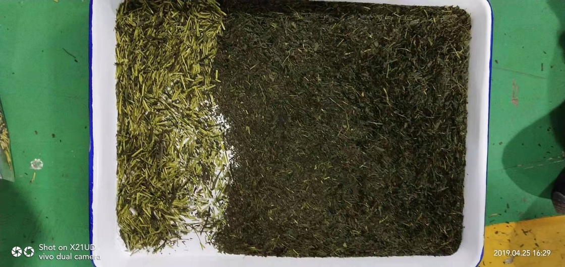 Wenyao CCD máquina de classificação de chá para chá preto máquina de classificação de cor de chá verde remover impurezas de ramos de folhas de chá