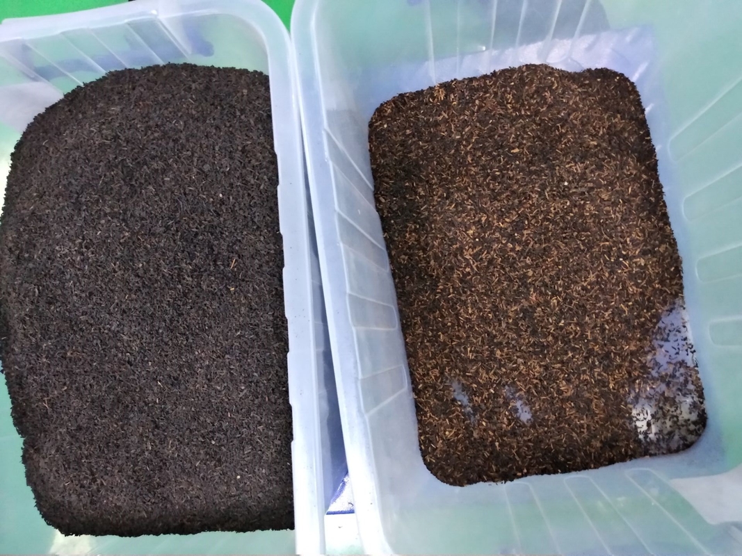 Wenyao CCD máquina de classificação de chá para chá preto máquina de classificação de cor de chá verde remover impurezas de ramos de folhas de chá