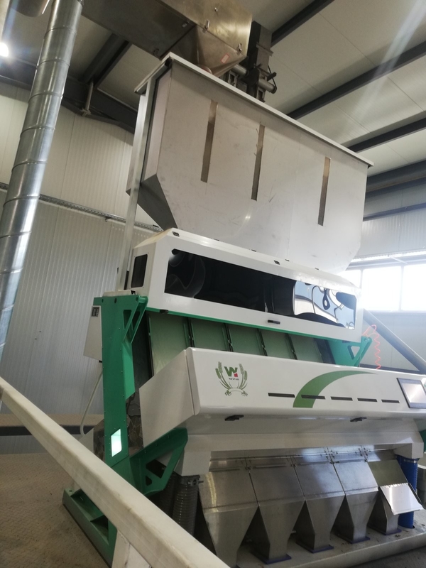 Máquina de classificação de cores de avelãs e máquina de separador de cores de avelãs para separar o núcleo e a casca de avelãs