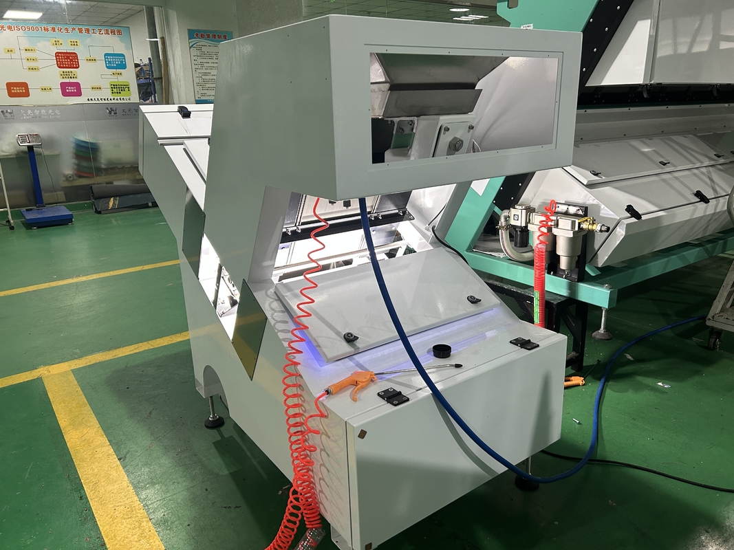 América FPGA Processing Chip Optical Candlenut Color Sorter Machine para Seleção de Especiarias