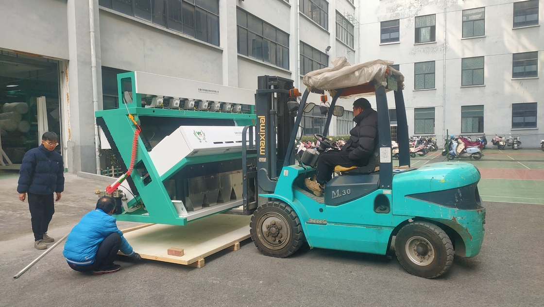 Máquina de seleção de cor de cebola seca para classificação de cebola de Hefei China