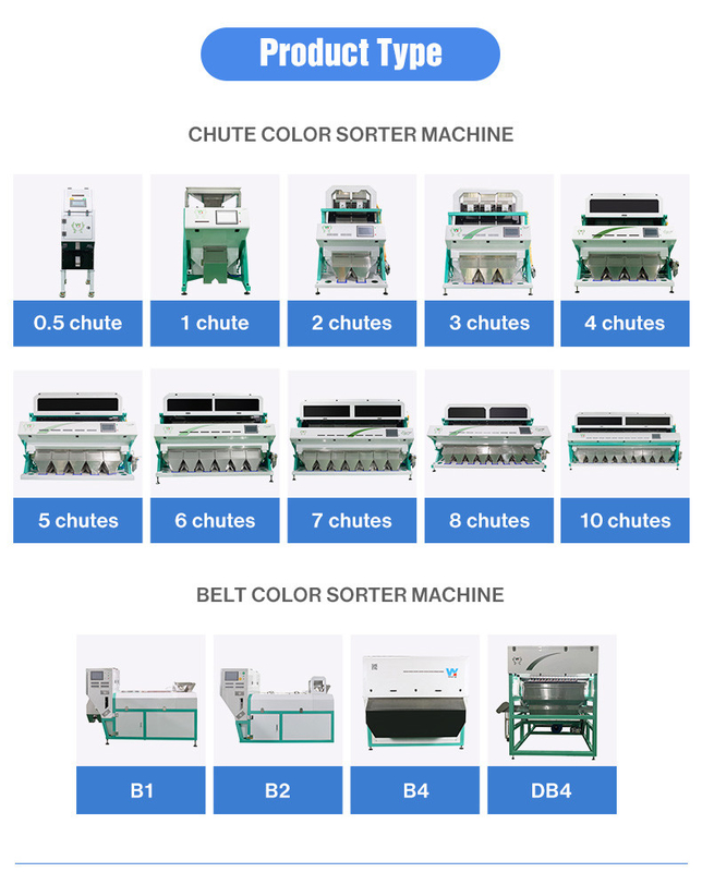 Processamento AI Sorter de Grãos de Café Máquina de triagem CCD Cor e Forma Sorte