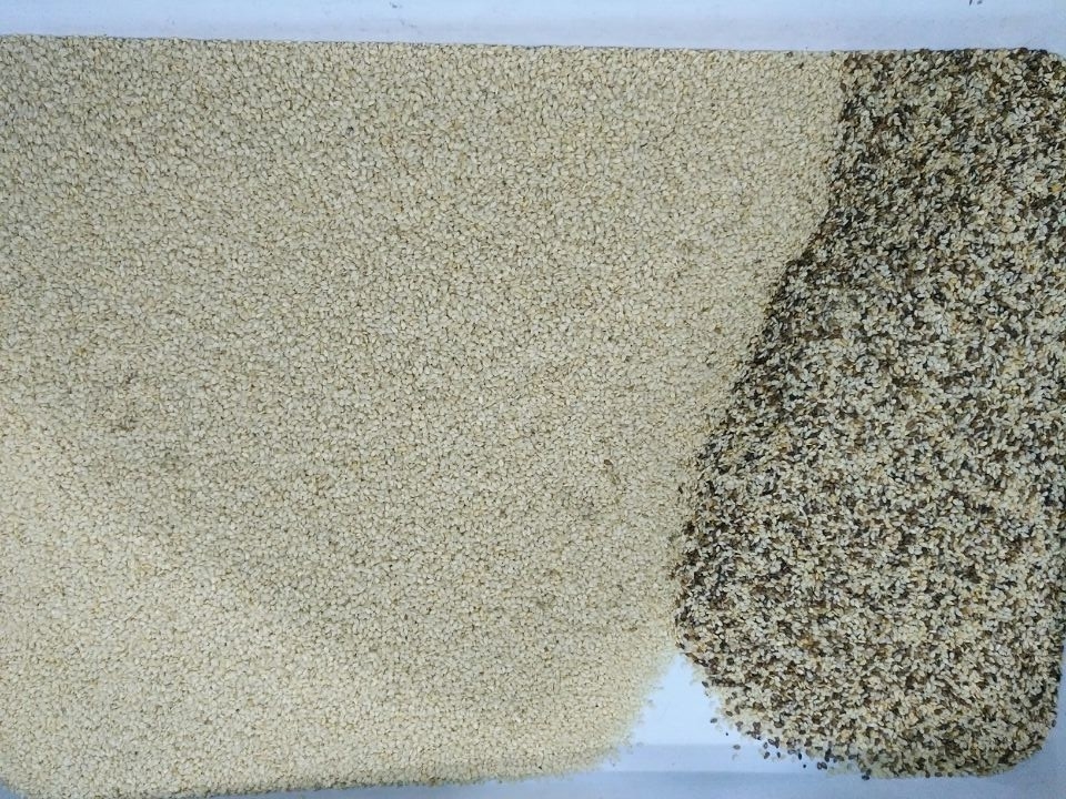 Alta Eficiência Chia Seed Grain Color Sorter Com Velocidade de Sortar Manutenção Fácil E Interface Amigável Ao Usuário