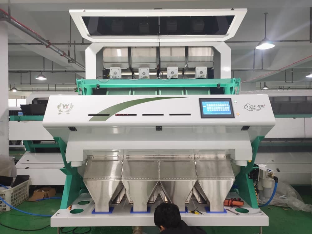 Máquina de classificação de cores de sementes de girassol Para classificação de pistache Nozes de caju Máquina de classificação de cores