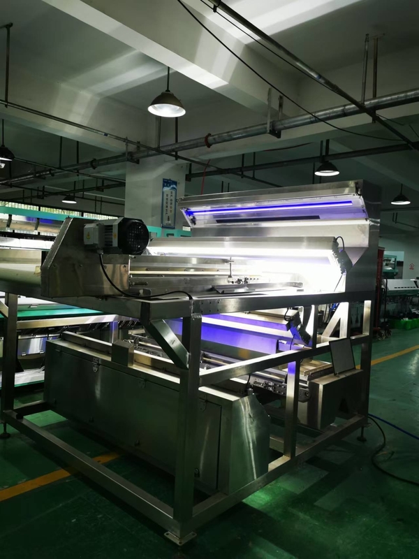Cinturão à prova d'água Colour Sorter para café Cerejas Vermes de seda Crisálida vegetais congelados