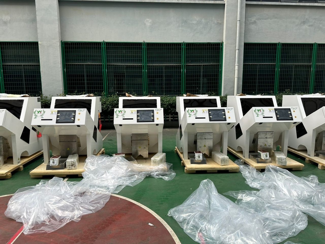 Automático Macadamia Nout Color Sorter Nouts Color Sorter Macadamia Kernel Shell Separator Equipamento