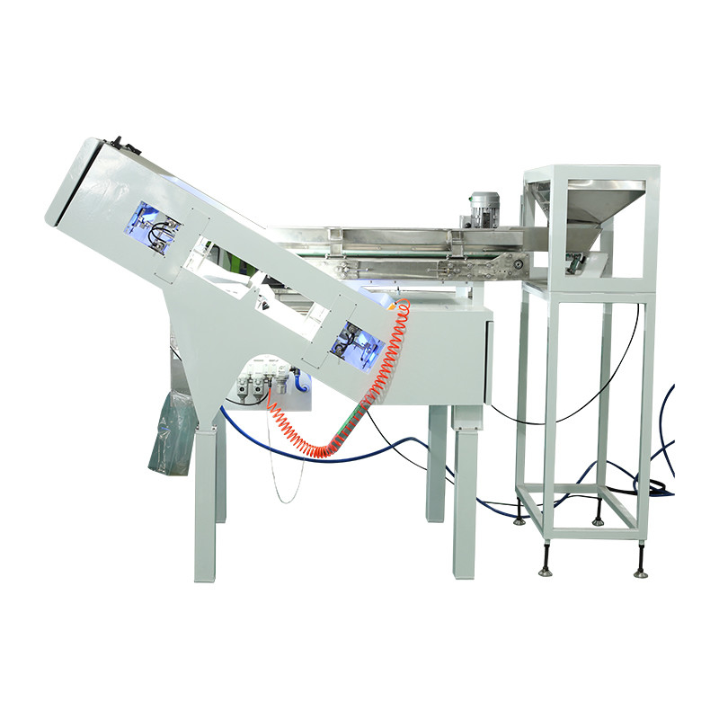 Anhui RealTech Garlic Color Sorter Machine Cherry Coffee Fruit Color Sorting Machine Máquina de classificação de cor de alho