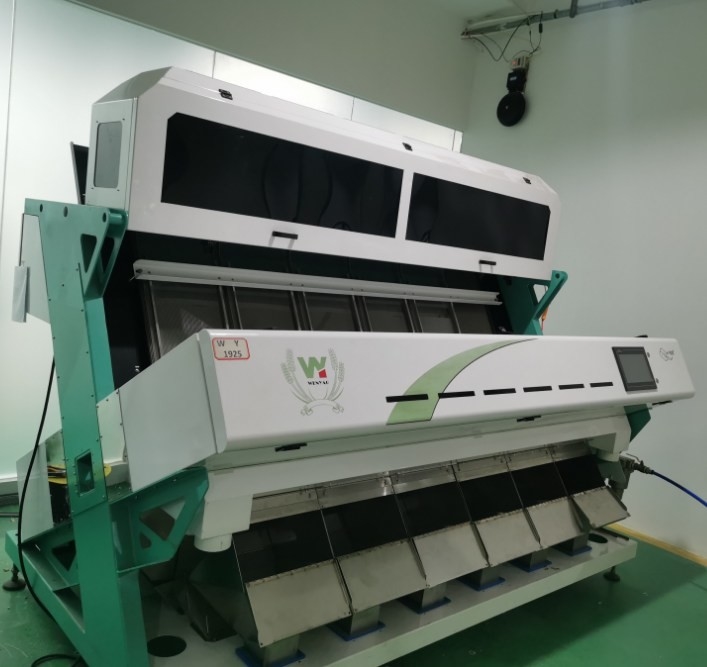 Máquina de classificação de cores de sementes de girassol Máquina de processamento de sementes de girassol