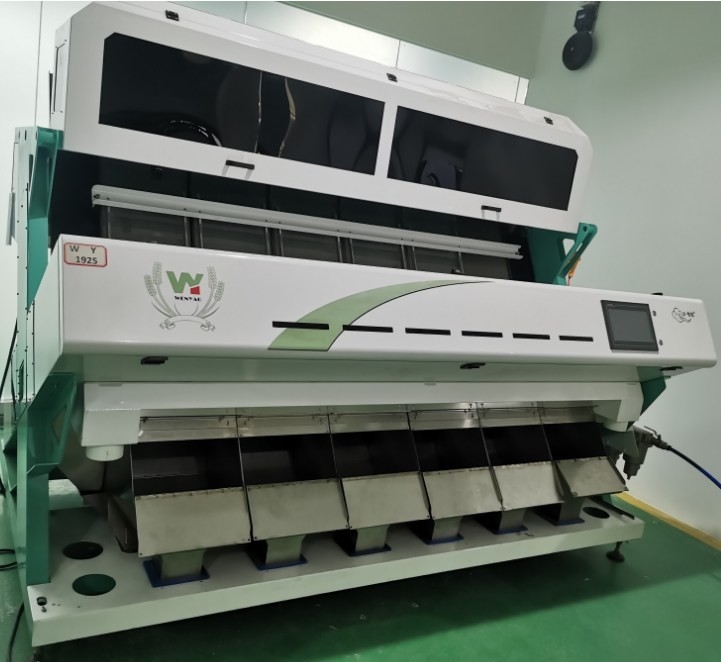 Máquina de classificação de cores de sementes de girassol Máquina de processamento de sementes de girassol